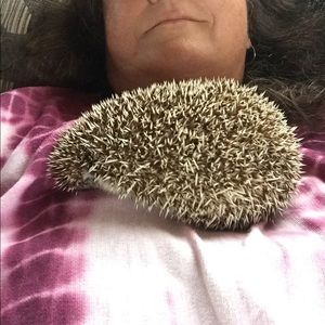 Meet your Posher, Jill